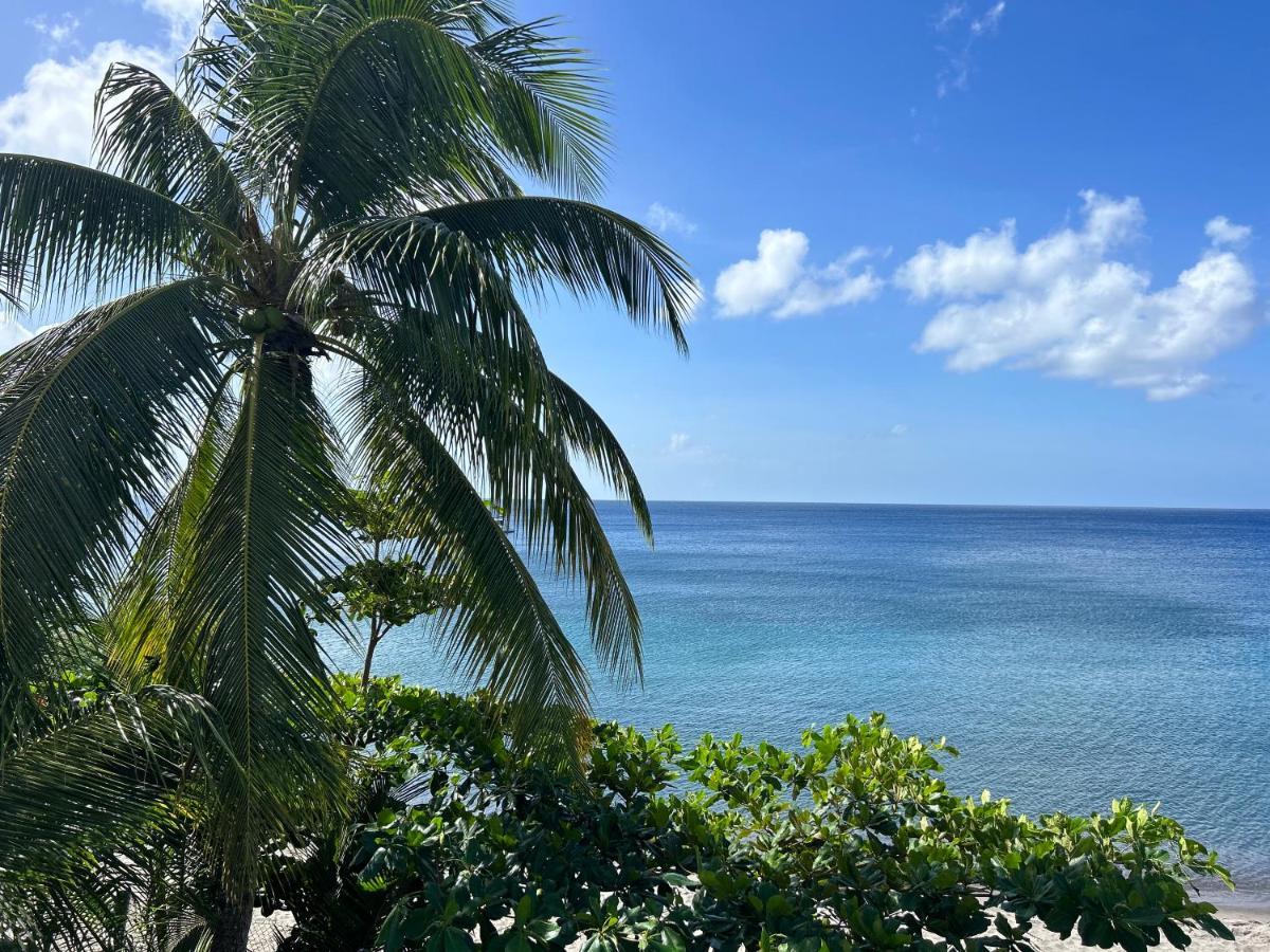 La Plage Martinique 舍尔谢 外观 照片